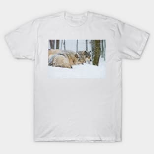 Gray Wolves T-Shirt